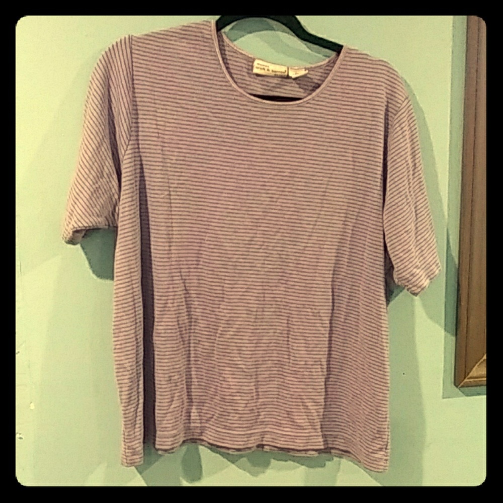 Ladie's Lavender Stripe T-Shirt size 1X